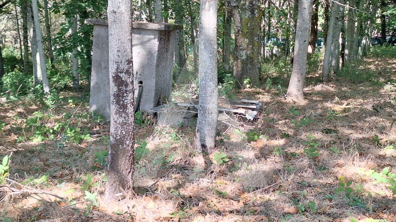 Terreno para Venda em Bordonhos Foto 9