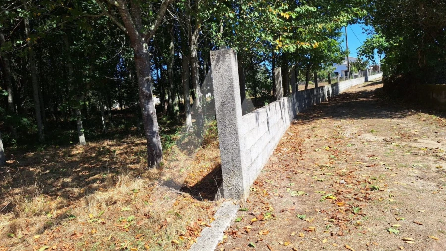 Terreno para Venda em Bordonhos Foto 6