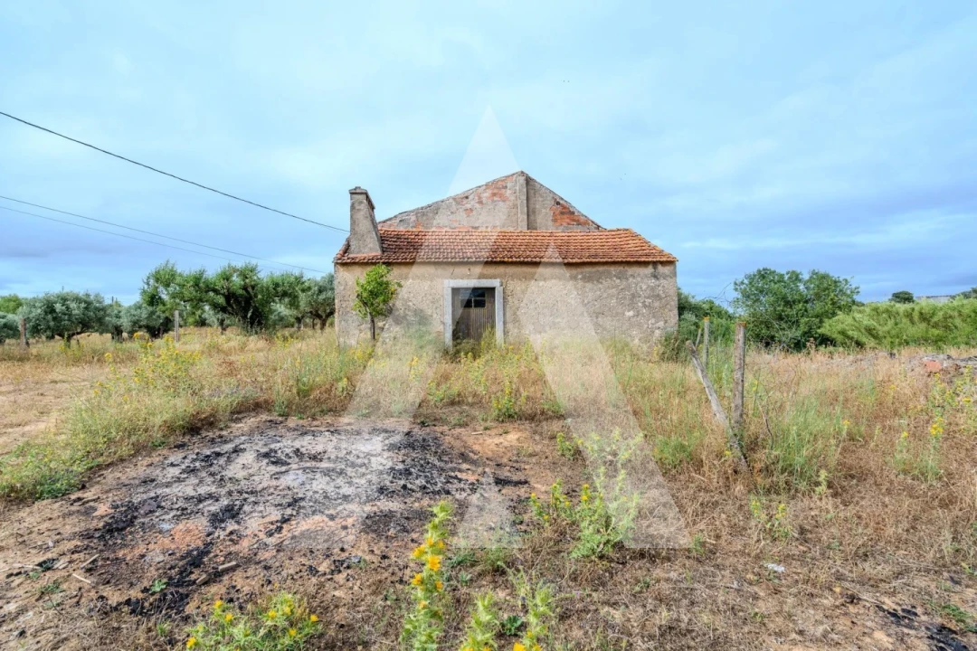 Quinta T6 para Venda em Alcanena e Vila Moreira Foto 41