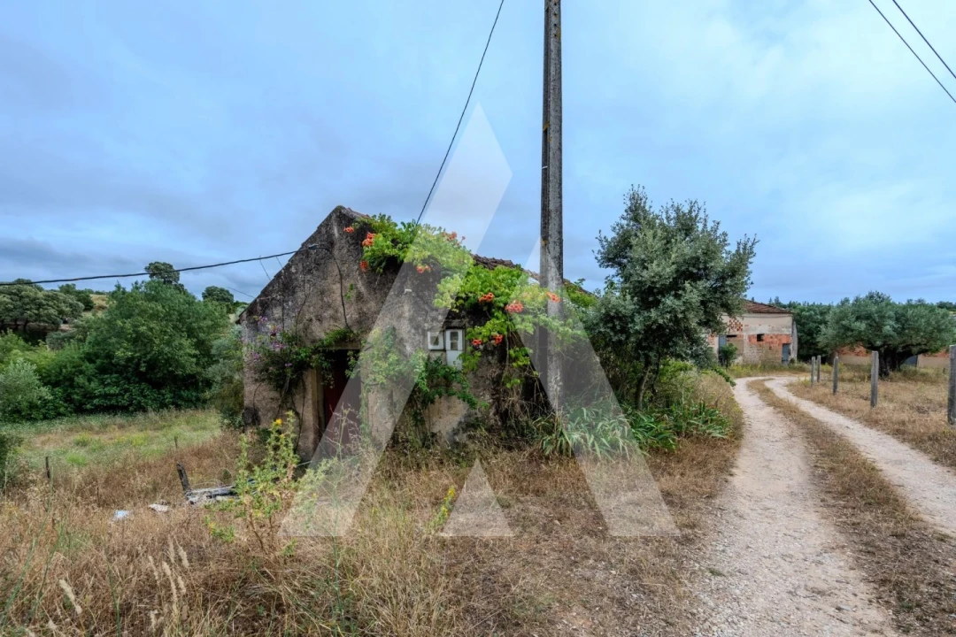 Quinta T6 para Venda em Alcanena e Vila Moreira Foto 42
