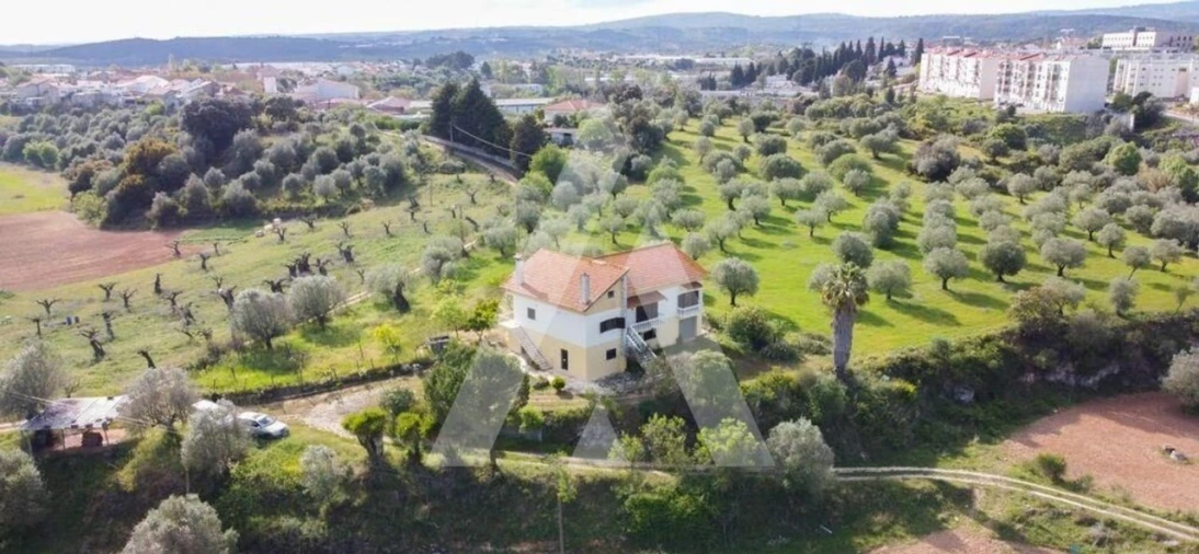 Quinta T6 para Venda em Alcanena e Vila Moreira Foto 39