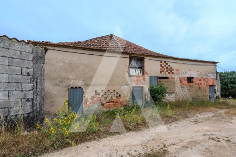 Quinta T6 para Venda em Alcanena e Vila Moreira Foto 43