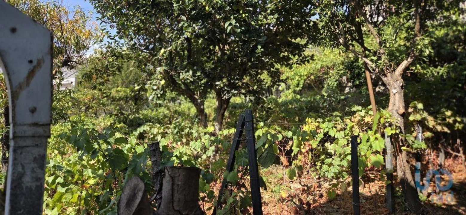 Moradia T4 para Venda em Peso da Régua e Godim Foto 5