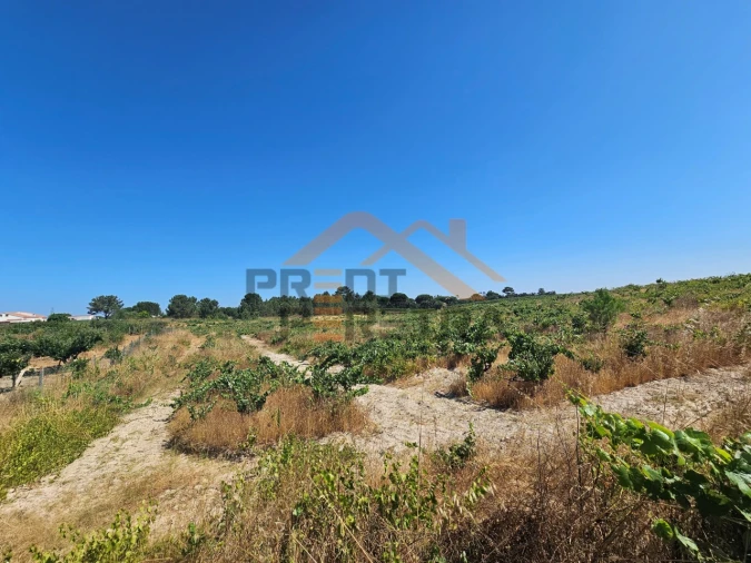 Terreno para Venda em Poceirão e Marateca Foto 3