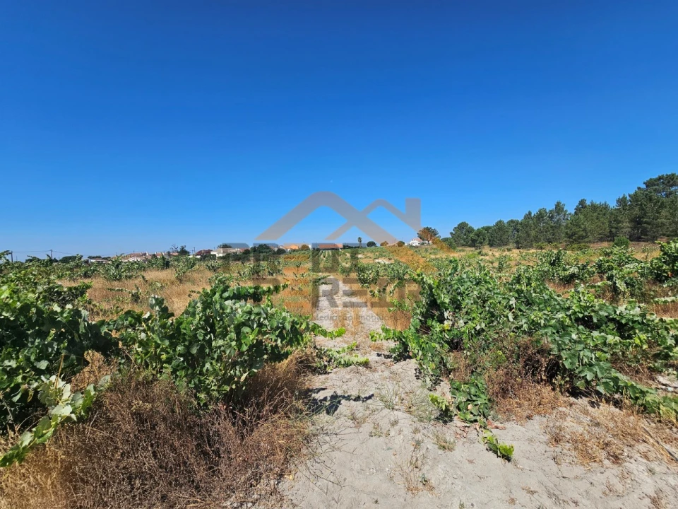 Terreno para Venda em Poceirão e Marateca Foto 14