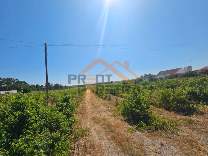 Terreno para Venda em Poceirão e Marateca Foto 6