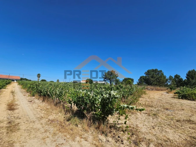 Terreno para Venda em Poceirão e Marateca Foto 9