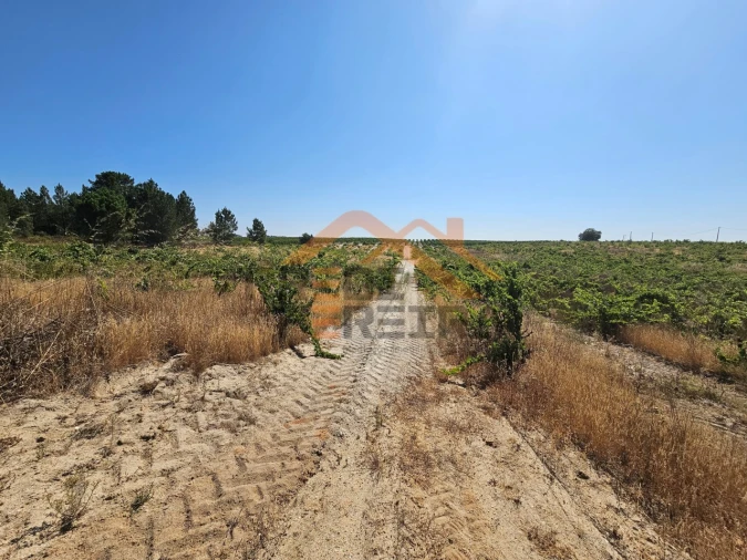 Terreno para Venda em Poceirão e Marateca Foto 10