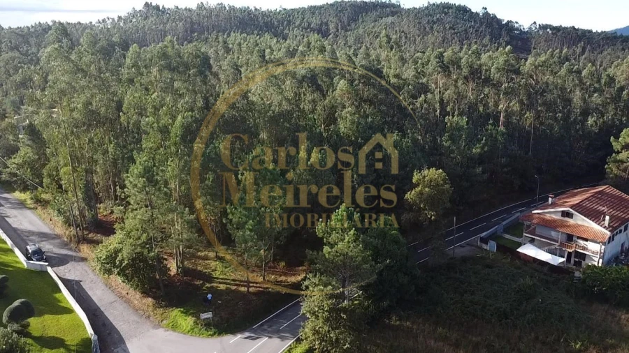 Terreno para Venda em Marrancos e Arcozelo Foto 6