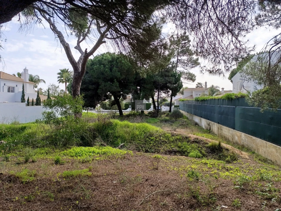 Terreno para Venda em Almancil Foto 11