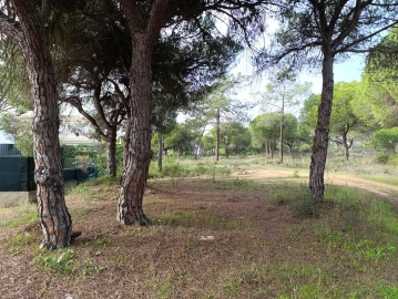 Terreno para Venda em Almancil