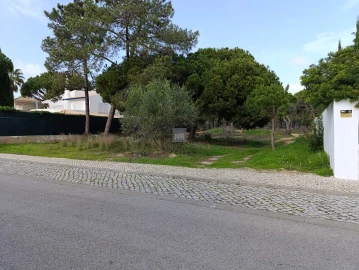 Terreno para Venda em Almancil