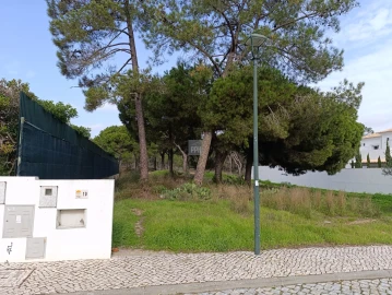 Terreno para Venda em Almancil