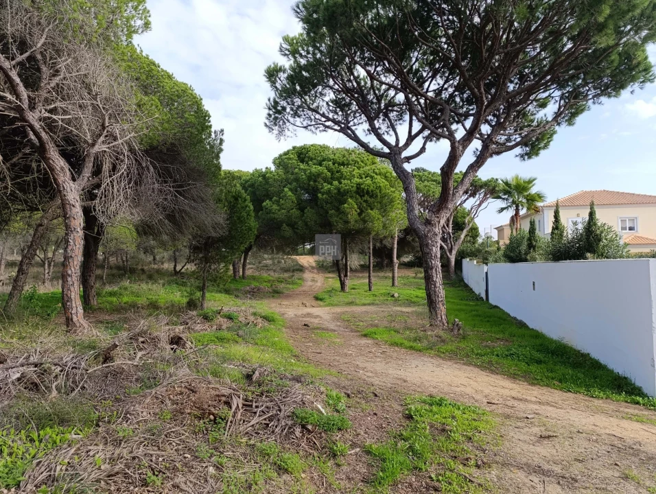 Terreno para Venda em Almancil Foto 4