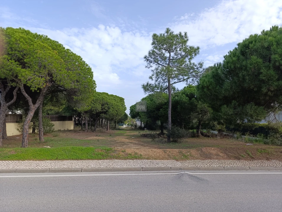 Terreno para Venda em Almancil Foto 4