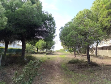 Terreno para Venda em Almancil