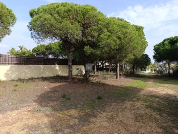 Terreno para Venda em Almancil