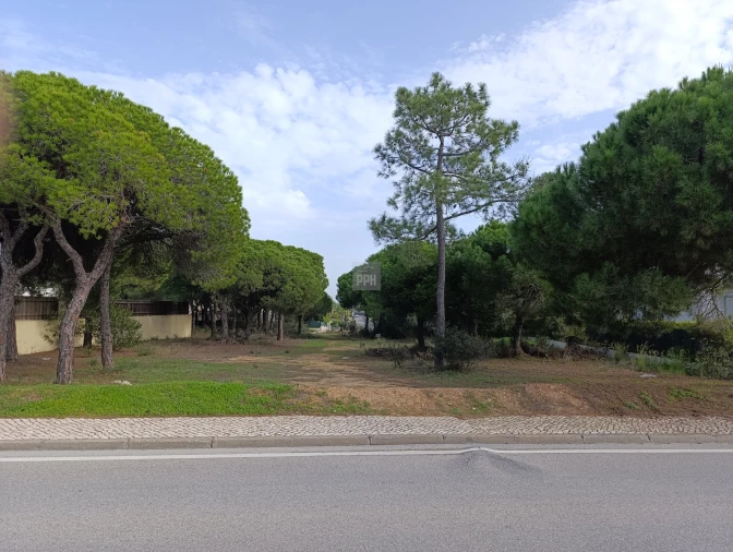 Terreno para Venda em Almancil Foto 4