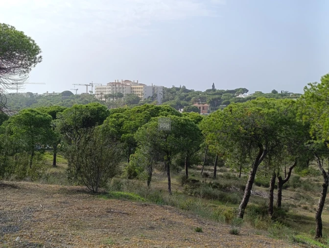 Terreno para Venda em Almancil Foto 3