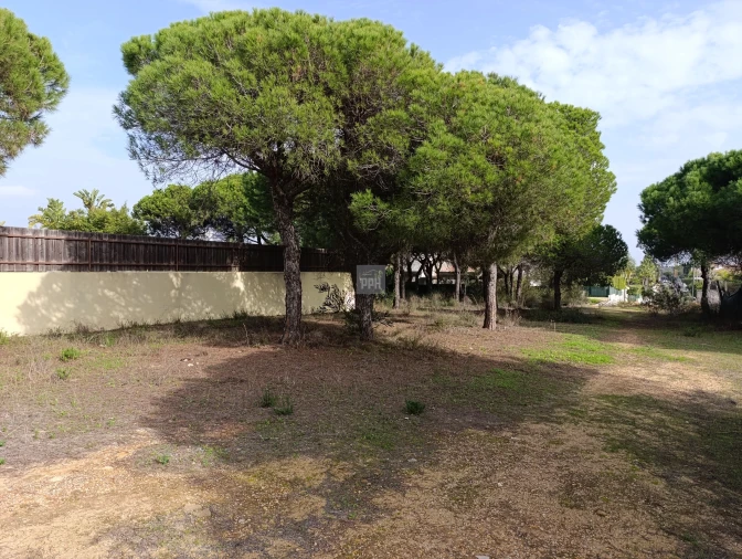 Terreno para Venda em Almancil Foto 11