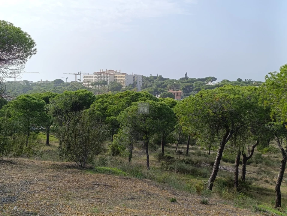 Terreno para Venda em Almancil Foto 3