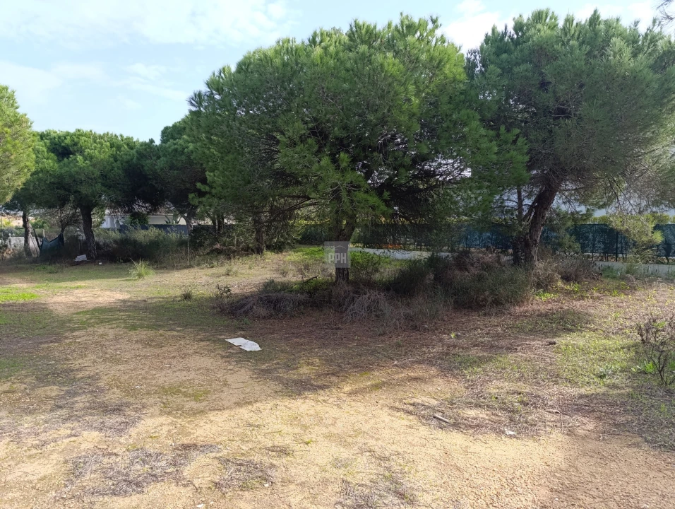 Terreno para Venda em Almancil Foto 10
