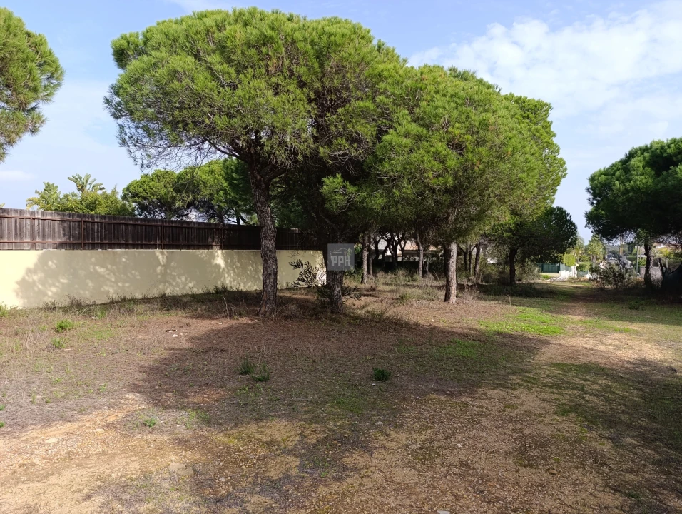 Terreno para Venda em Almancil Foto 11