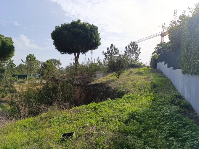 Terreno para Venda em Almancil Foto 13