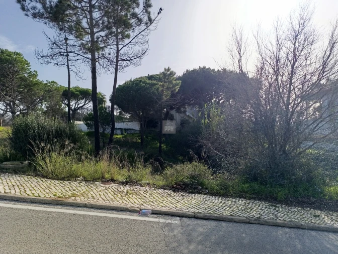 Terreno para Venda em Almancil Foto 10