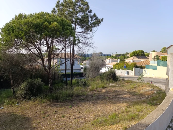 Terreno para Venda em Almancil Foto 7