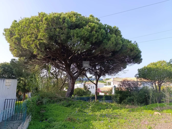 Terreno para Venda em Almancil Foto 6