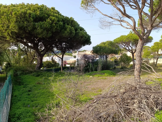 Terreno para Venda em Almancil Foto 11