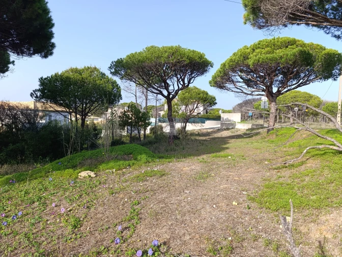 Terreno para Venda em Almancil Foto 9