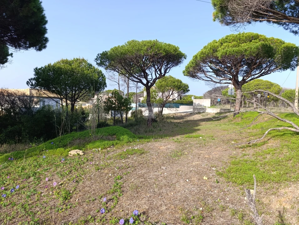 Terreno para Venda em Almancil Foto 9
