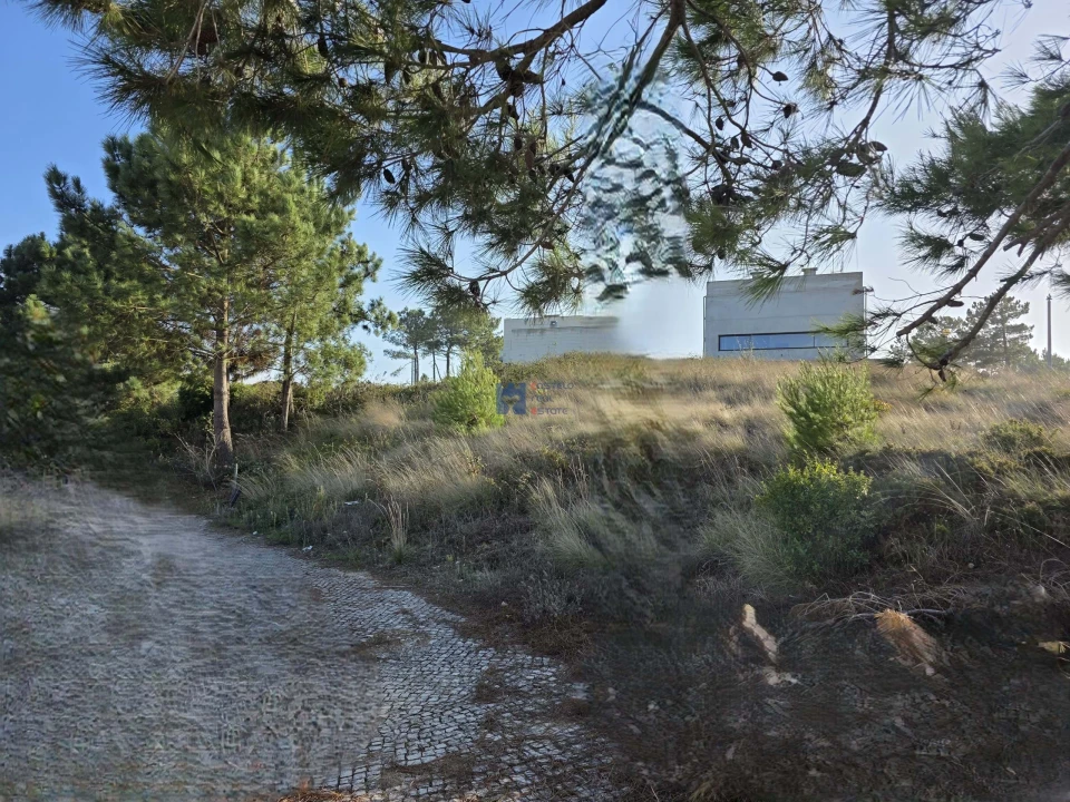 Terreno para Venda em Famalicão Foto 10