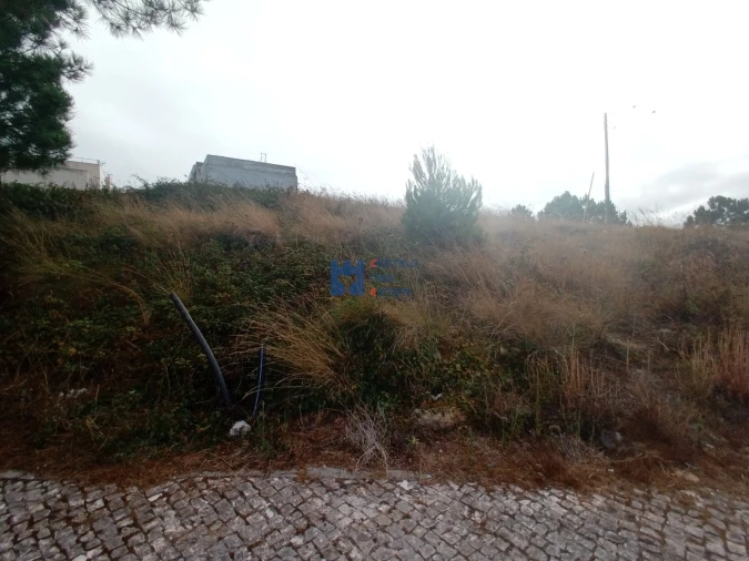 Terreno para Venda em Famalicão Foto 16