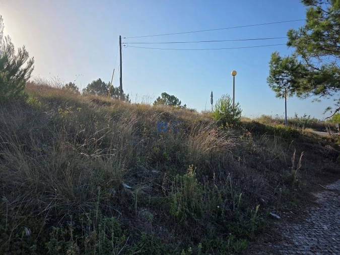 Terreno para Venda em Famalicão Foto 11