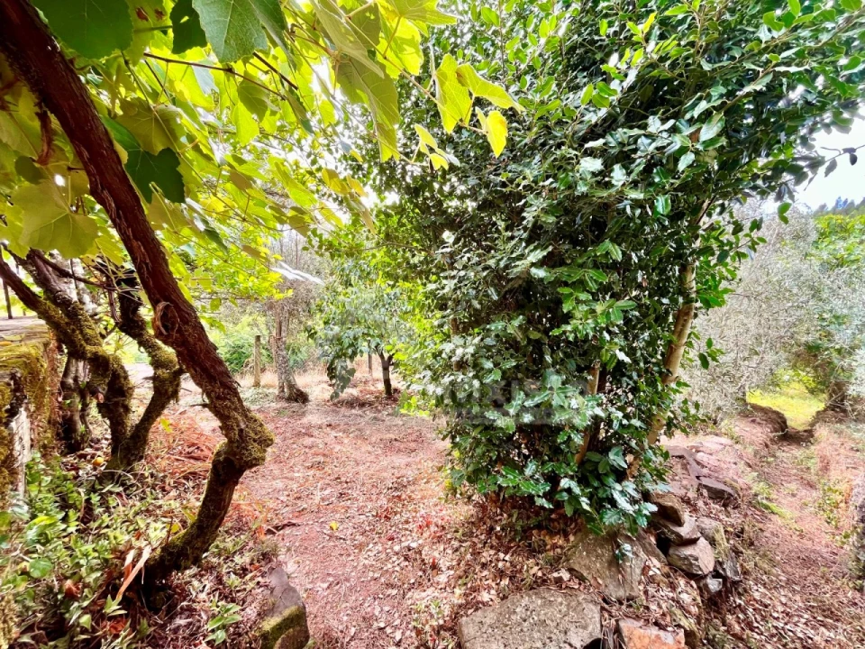 Moradia T4 para Venda em Castanheira de Pêra e Coentral Foto 29