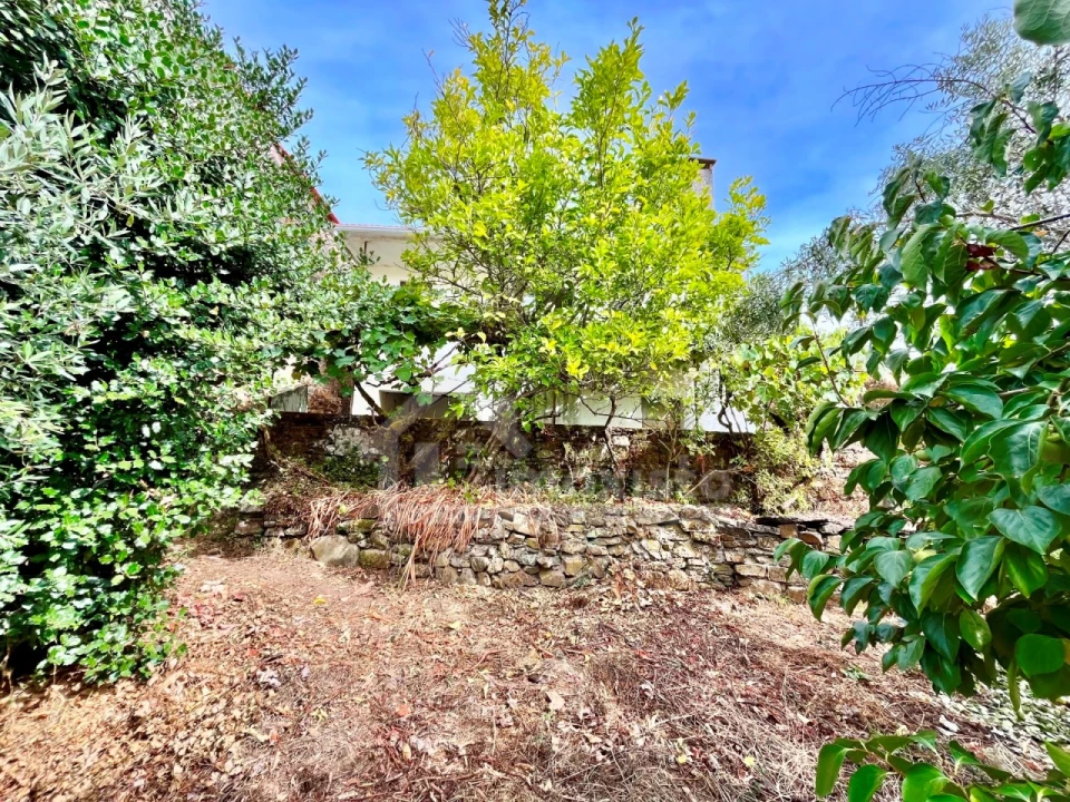 Moradia T4 para Venda em Castanheira de Pêra e Coentral Foto 32