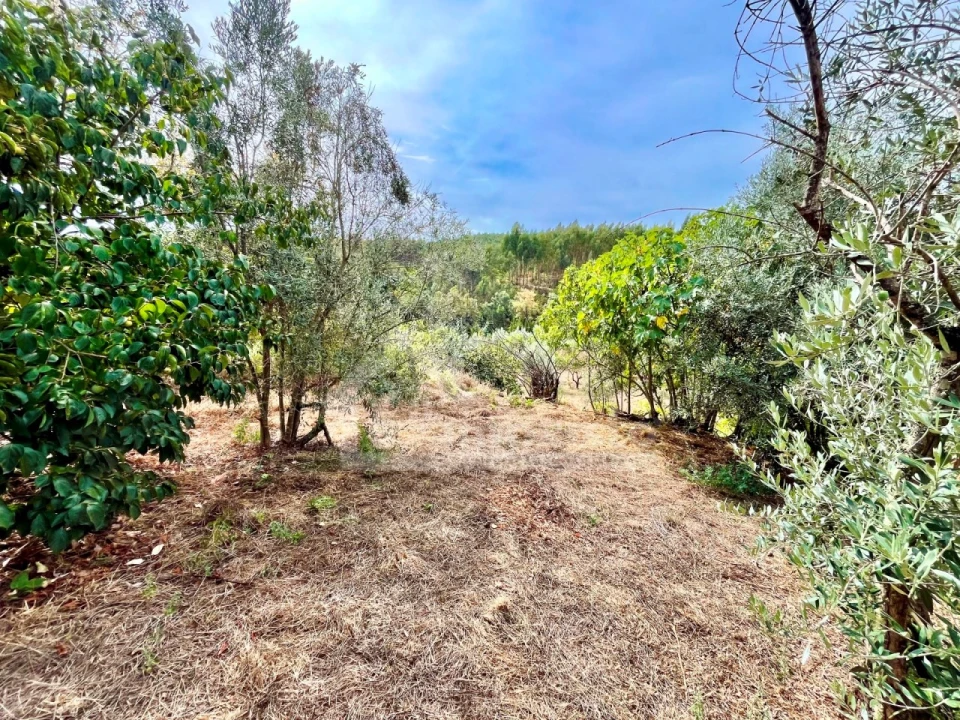 Moradia T4 para Venda em Castanheira de Pêra e Coentral Foto 33