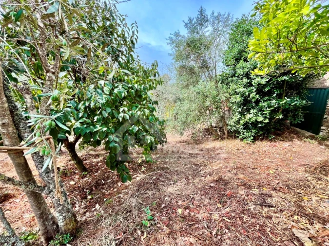 Moradia T4 para Venda em Castanheira de Pêra e Coentral Foto 31