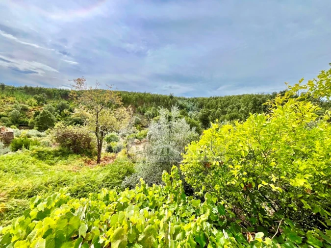 Moradia T4 para Venda em Castanheira de Pêra e Coentral Foto 35