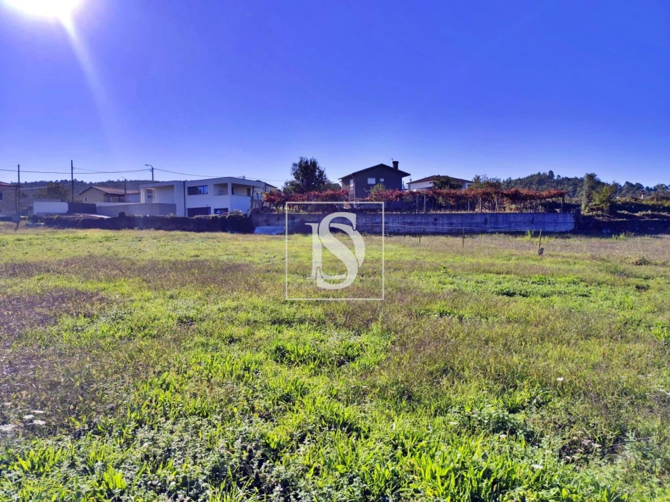 Terreno para Venda em Alheira e Igreja Nova Foto 3