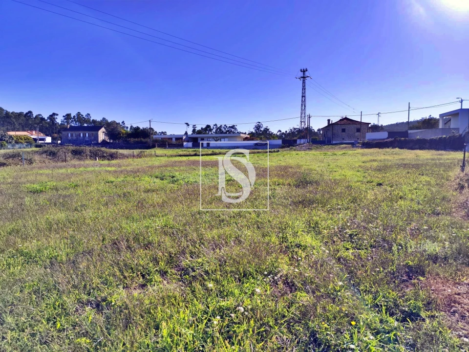 Terreno para Venda em Alheira e Igreja Nova Foto 8