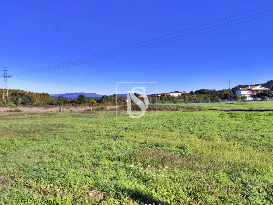 Terreno para Venda em Alheira e Igreja Nova Foto 7