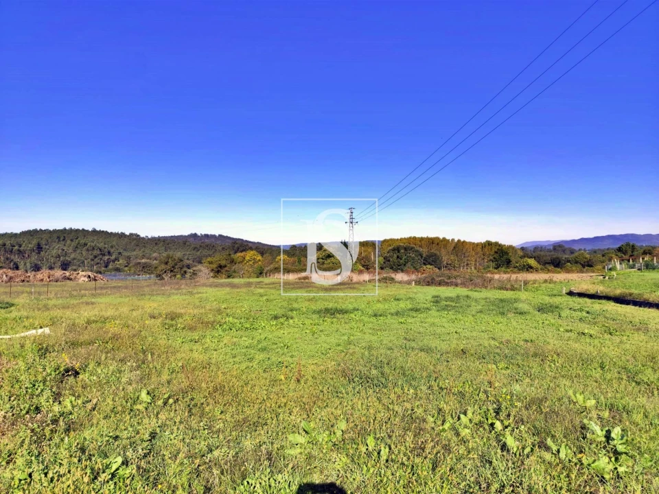 Terreno para Venda em Alheira e Igreja Nova Foto 2