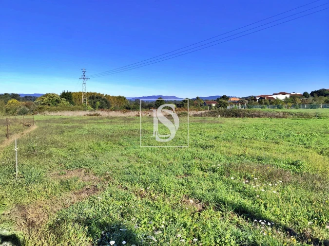 Terreno para Venda em Alheira e Igreja Nova Foto 6