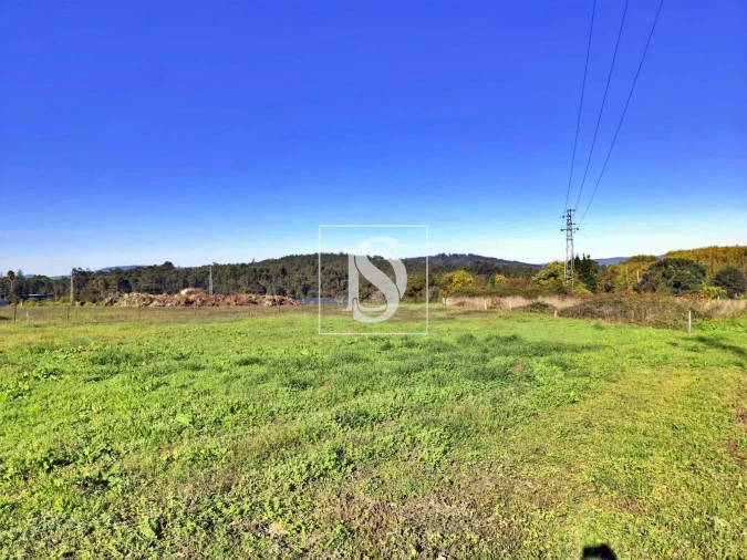 Terreno para Venda em Alheira e Igreja Nova Foto 4
