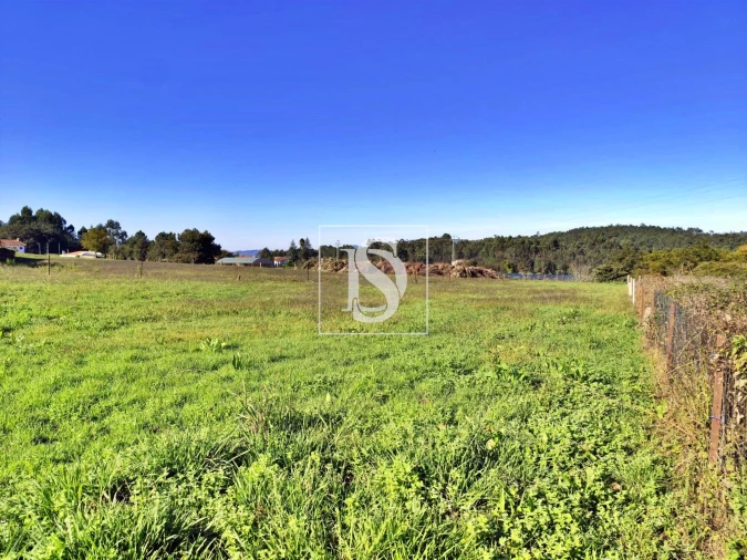 Terreno para Venda em Alheira e Igreja Nova Foto 5