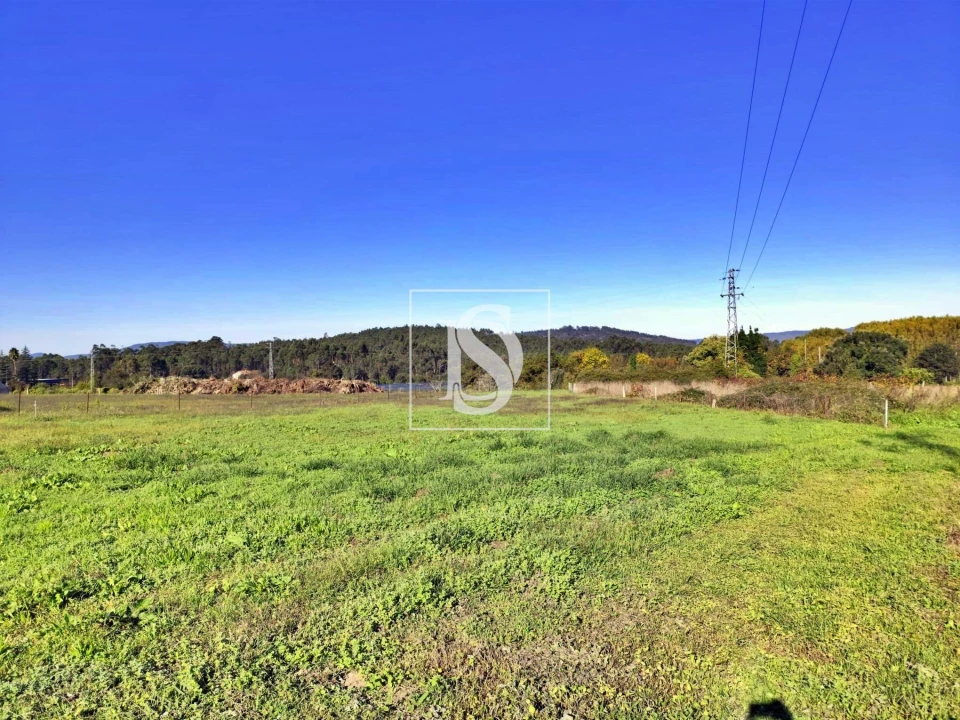 Terreno para Venda em Alheira e Igreja Nova Foto 4